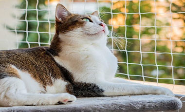 Balcony Safety Nets in hyderabad