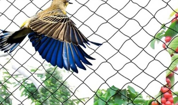 Anti Bird Nets in hyderabad